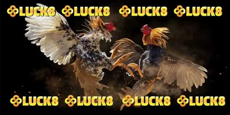 Một số hình thức đá gà được yêu thích tại LUCK8