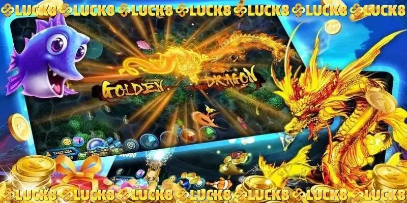 Quy trình trải nghiệm săn cá Rồng Vàng